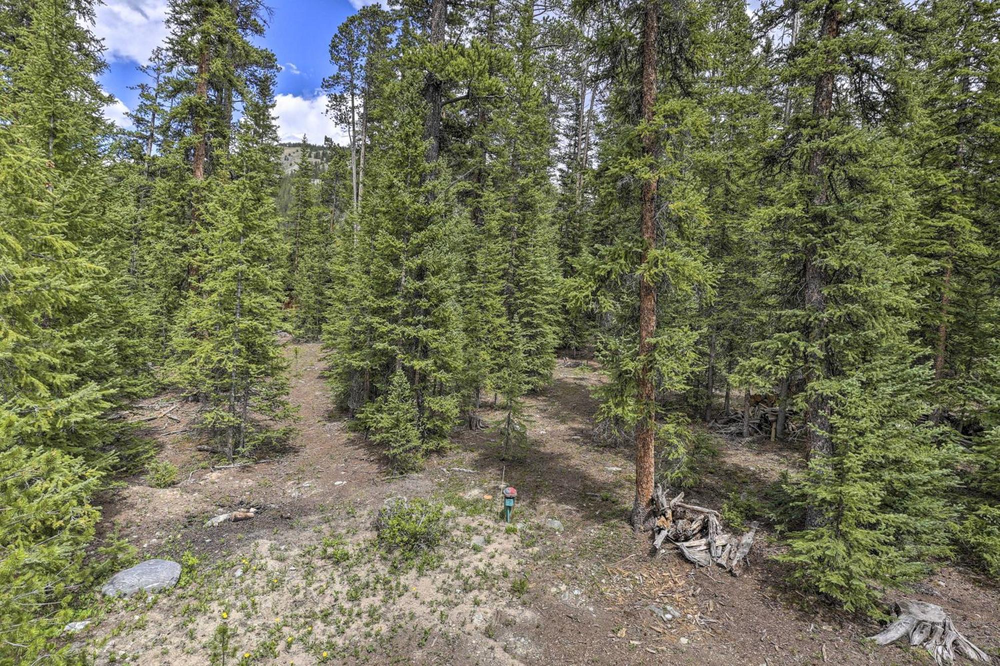 Cozy Breckenridge Cabin With Deck, 8 Mi To Gondola Εξωτερικό φωτογραφία